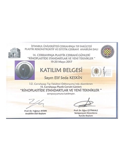 Plastik, Rekonstrüktif ve Estetik Cerrahi | Op. Dr. Elif Seda Keskin